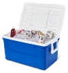 Bild von Igloo Laguna 48 (45 Liter) Blau