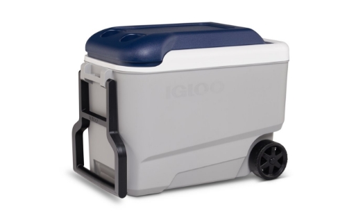 Bild von Igloo Maxcold 40 roller (38 Liter)